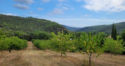 Céret Terrain à bâtir - 1879259-4671annonce1202406133Morg.jpeg Maisons Open