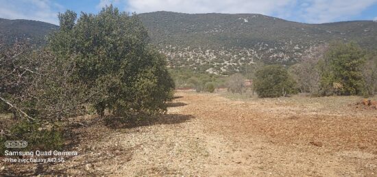 Terrain à bâtir à , Vaucluse