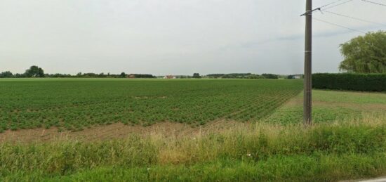 Terrain à bâtir à Steenvoorde, Hauts-de-France