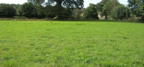 Terrain à bâtir à Noyers-Bocage, Normandie