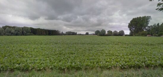 Terrain à bâtir à Steenwerck, Hauts-de-France