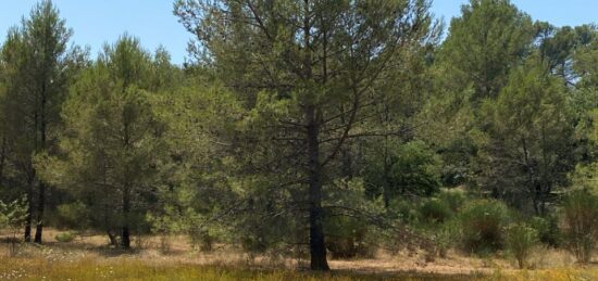 Terrain à bâtir à , Var