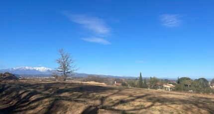 Banyuls-dels-Aspres Terrain à bâtir - 1895923-5472annonce120240704pcJuQ.jpeg Maisons Open