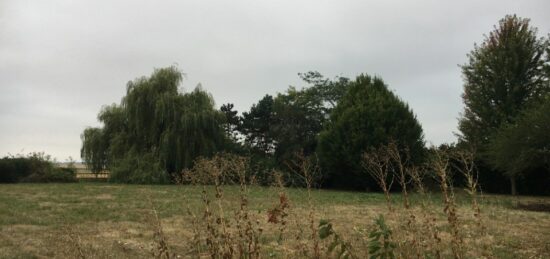 Terrain à bâtir à Sonchamp, Île-de-France