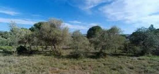 Terrain à bâtir à Cases-de-Pène, Occitanie