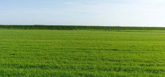 Terrain à bâtir à Saint-Laurent-en-Gâtines, Centre-Val de Loire