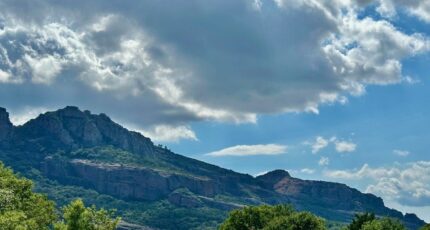 Roquebrune-sur-Argens Terrain à bâtir - 1933693-3701annonce320240828oyATE.jpeg Maisons Open