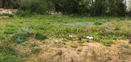 Terrain à bâtir à Le Plessis-Trévise, Île-de-France