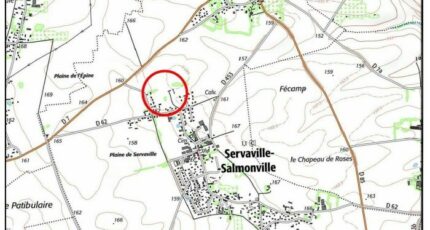 Servaville-Salmonville Terrain à bâtir - 1915929-10998annonce120240727Ou5FK.jpeg Maisons Open