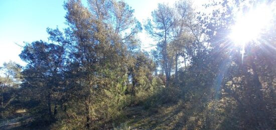 Terrain à bâtir à Camps-la-Source, Provence-Alpes-Côte d'Azur