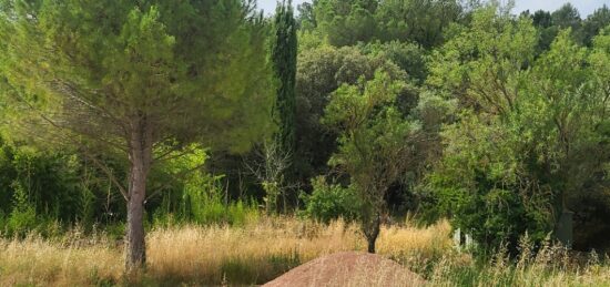 Terrain à bâtir à Cabasse, Provence-Alpes-Côte d'Azur