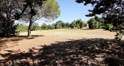 Roquebrune-sur-Argens Terrain à bâtir - 1902191-10295annonce320240711TgKfG.jpeg Maisons Open