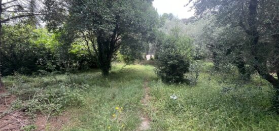 Terrain à bâtir à Pégomas, Provence-Alpes-Côte d'Azur