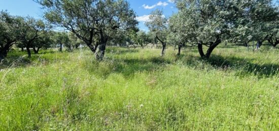 Terrain à bâtir à , Var