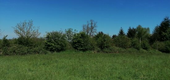 Terrain à bâtir à , Orne