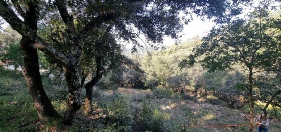 Terrain à bâtir à Vidauban, Provence-Alpes-Côte d'Azur