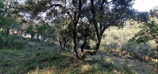 Terrain à bâtir à , Var