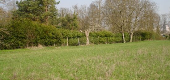 Terrain à bâtir à Aubepierre-Ozouer-le-Repos, Île-de-France