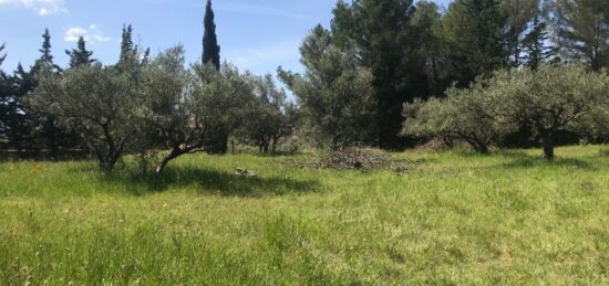 Terrain à bâtir à Cuers, Provence-Alpes-Côte d'Azur