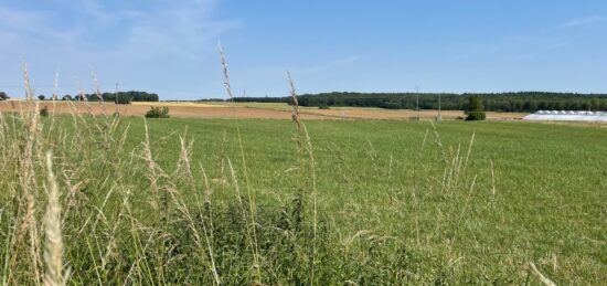 Terrain à bâtir à Bornel, Hauts-de-France