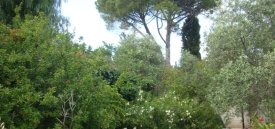 Terrain à bâtir à Pierrefeu-du-Var, Provence-Alpes-Côte d'Azur