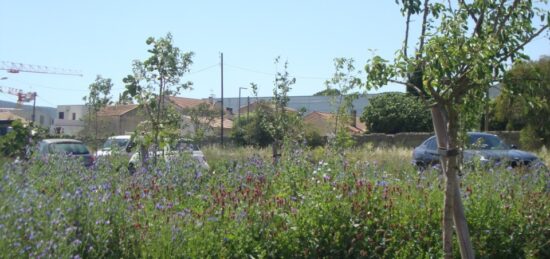 Terrain à bâtir à , Var