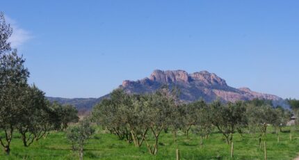 Roquebrune-sur-Argens Terrain à bâtir - 1938351-9911annonce120240904eg4yv.jpeg Maisons Open