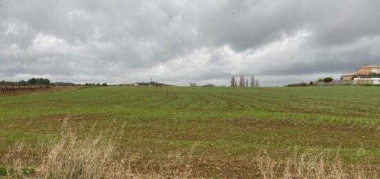 Terrain à bâtir à Puisserguier, Occitanie