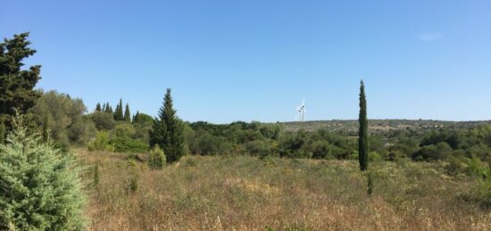 Terrain à bâtir à La Palme, Occitanie