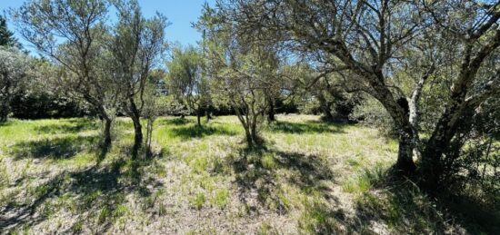 Terrain à bâtir à , Var