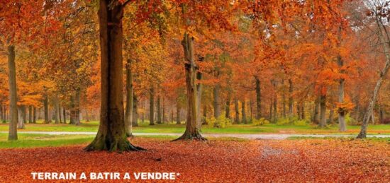 Terrain à bâtir à Fontainebleau, Île-de-France