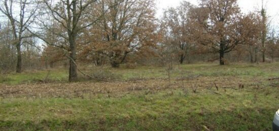 Terrain à bâtir à Noisy-le-Grand, Île-de-France