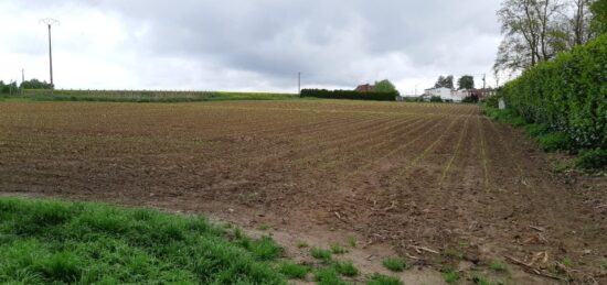 Terrain à bâtir à Saint-Hilaire-lez-Cambrai, Hauts-de-France