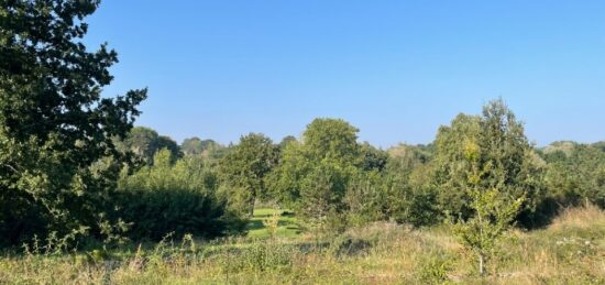 Terrain à bâtir à Saint-Antoine-du-Rocher, Centre-Val de Loire