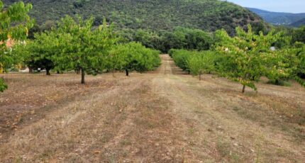 Céret Terrain à bâtir - 1957660-4671annonce120240924uRU1x.jpeg Maisons Open