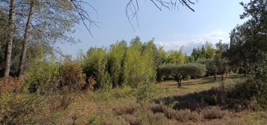 Terrain à bâtir à , Var