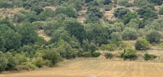 Terrain à bâtir à Prades, Occitanie