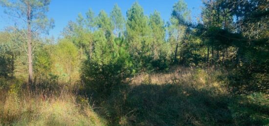 Terrain à bâtir à , Ardèche