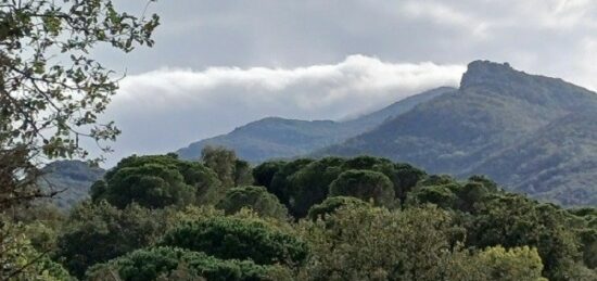 Terrain à bâtir à Sorède, Occitanie