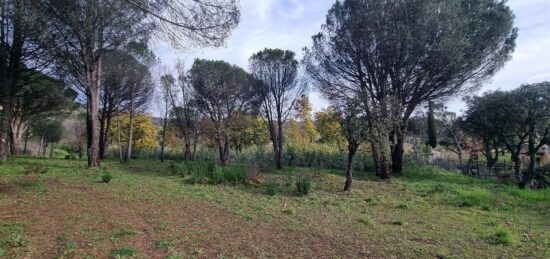 Terrain à bâtir à Grimaud, Provence-Alpes-Côte d'Azur