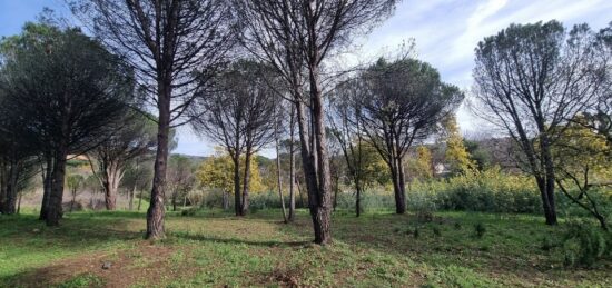 Terrain à bâtir à Grimaud, Provence-Alpes-Côte d'Azur