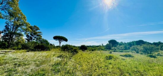 Terrain à bâtir à Puget-sur-Argens, Provence-Alpes-Côte d'Azur