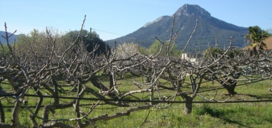 Terrain à bâtir à La Crau, Provence-Alpes-Côte d'Azur