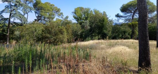 Terrain à bâtir à Saint-Georges-d'Orques, Occitanie