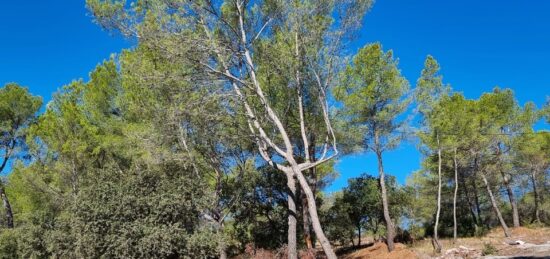 Terrain à bâtir à , Var