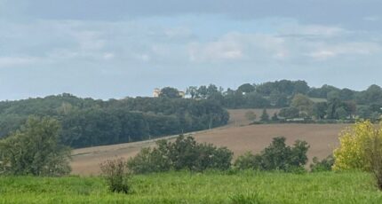 Gaillac Terrain à bâtir - 1981478-2684annonce3202410195vPhL.jpeg Maisons Open