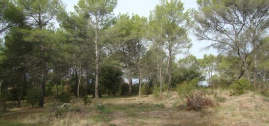 Terrain à bâtir à Pierrefeu-du-Var, Provence-Alpes-Côte d'Azur