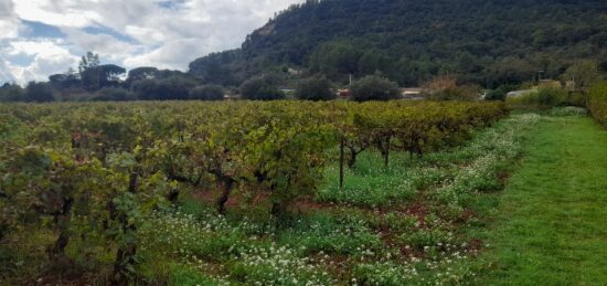 Terrain à bâtir à Gonfaron, Provence-Alpes-Côte d'Azur