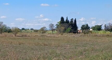 Marseillan Terrain à bâtir - 1954196-11040annonce120240920IlfLO.jpeg Maisons Open