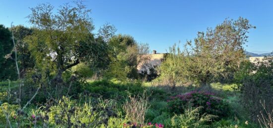 Terrain à bâtir à Cannes, Provence-Alpes-Côte d'Azur